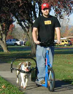 Dog Powered Scooter