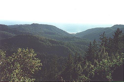 Big Basin
