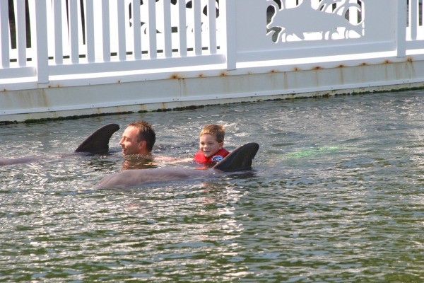 Swim around