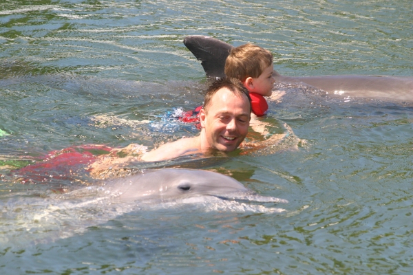 Swim around