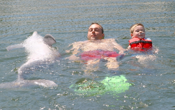 Back stroke