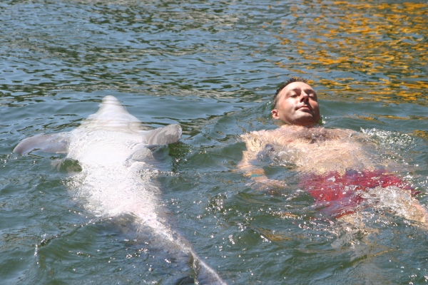 Back stroke