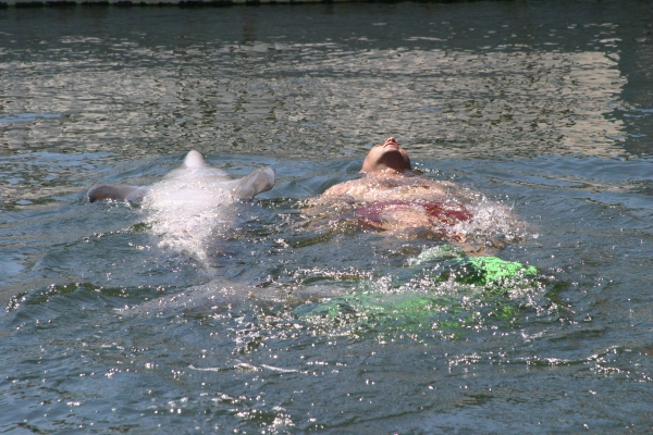 Dorsel-fin tow
