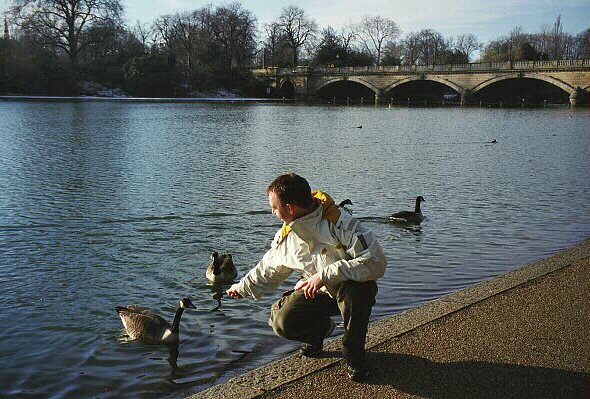 Serpentine
