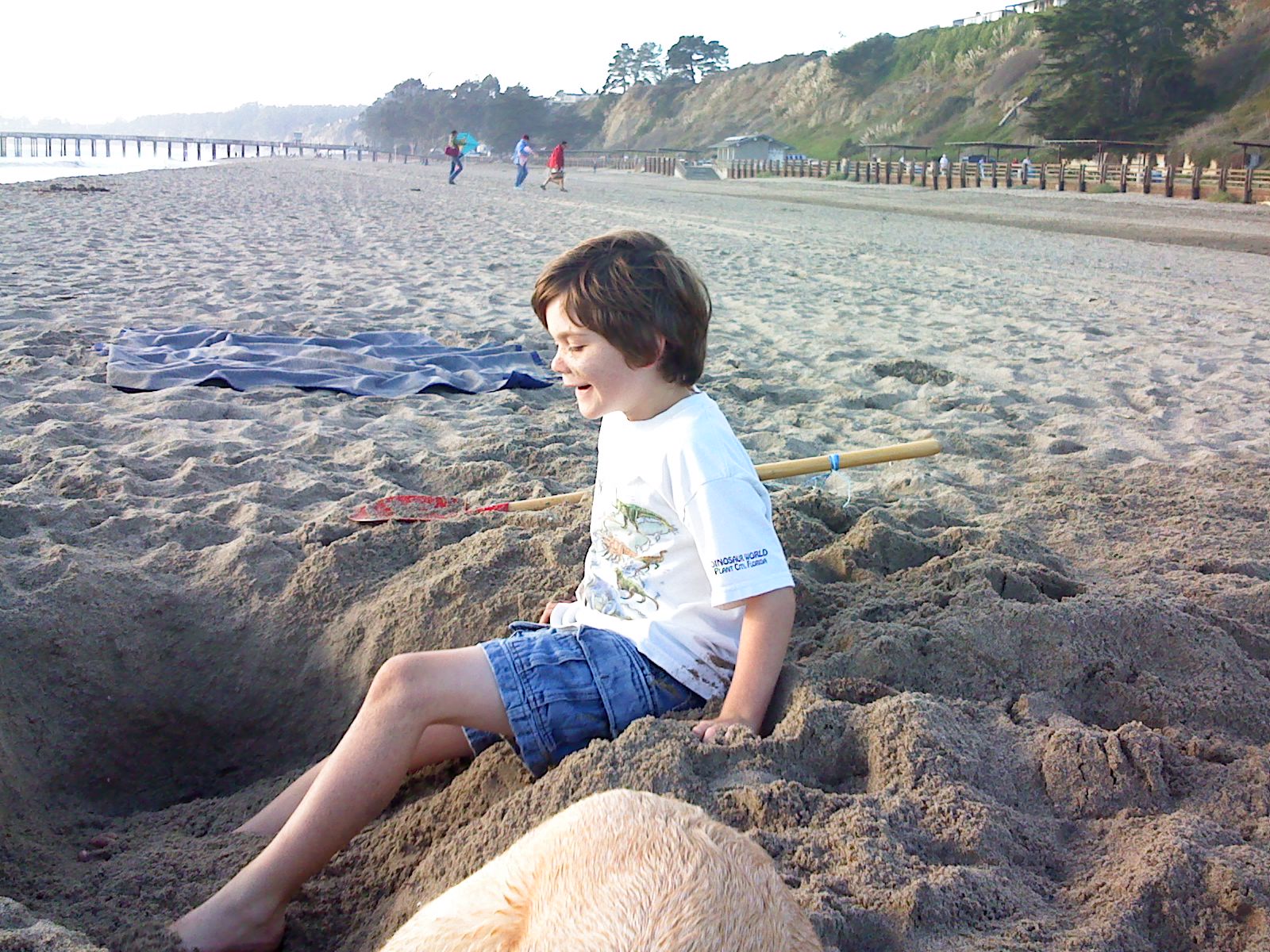 Beach, December 2008