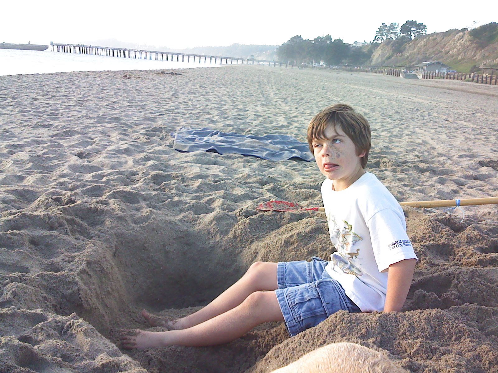 Beach, December 2008