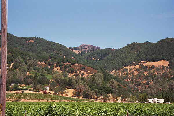 Calistoga
