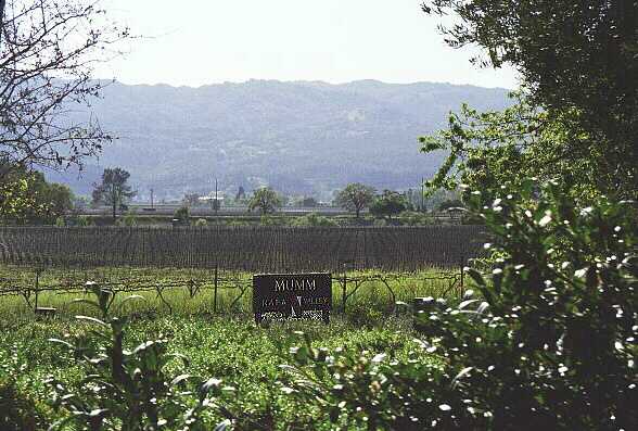 Mumm Vineyards
