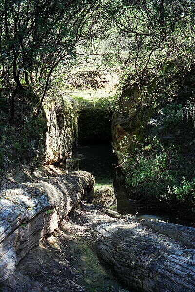 Petrified Forest
