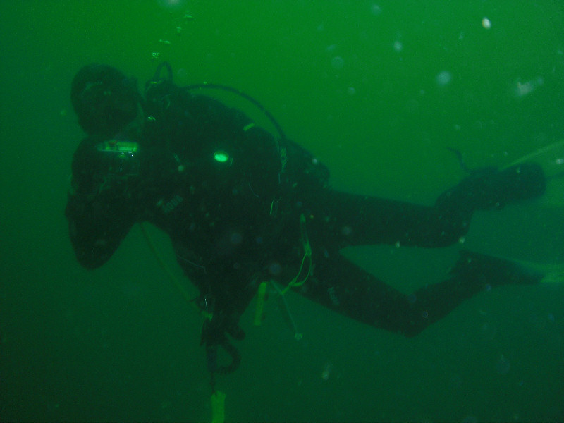 Dive Buddy